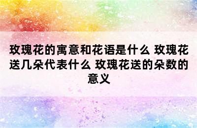 玫瑰花的寓意和花语是什么 玫瑰花送几朵代表什么 玫瑰花送的朵数的意义